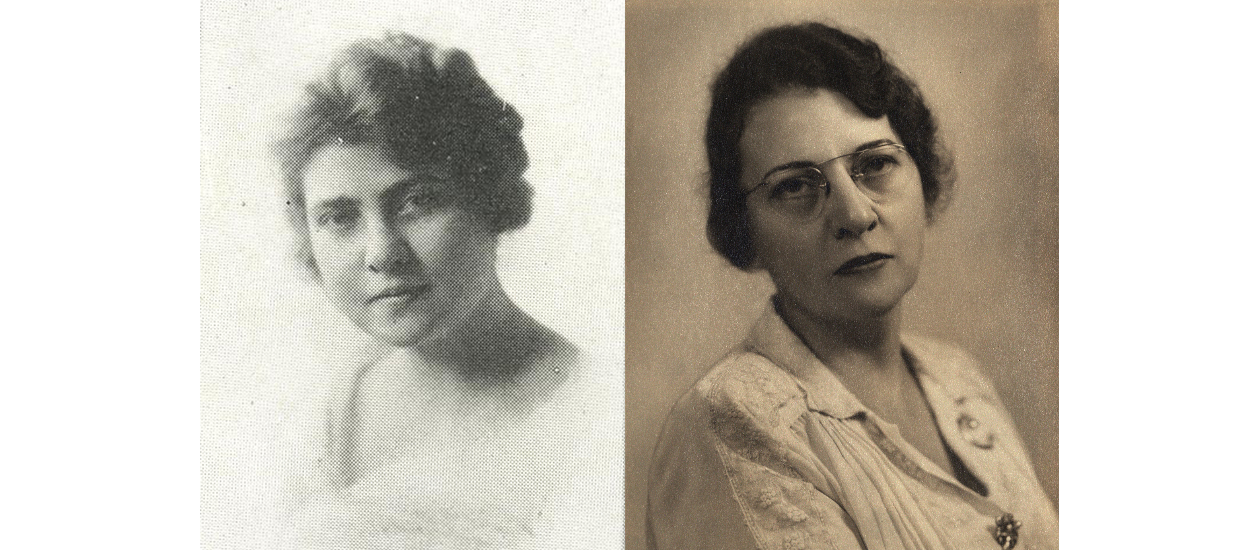 Dr. Ellen Phenicie-Schulz Collection