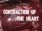 Contraction of the Heart by Hideo Ueda, Hisakazu Yasuda, Ryozo Okada, Keiji Ueda, and Yasuro Sugishita