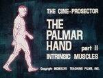 The Palmar Hand, Part II: Intrinsic Muscles by Teaching Film, Inc. and Laurence E. Wragg